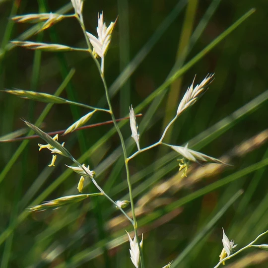 ECOstyle Terra Fertiel 25 Kg