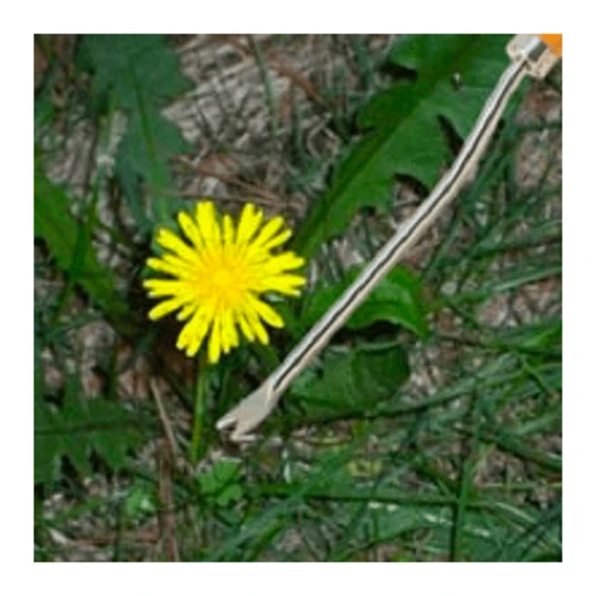 Burgon & Ball RHS Onkruidsteker - Verlengd - Afbeelding 2